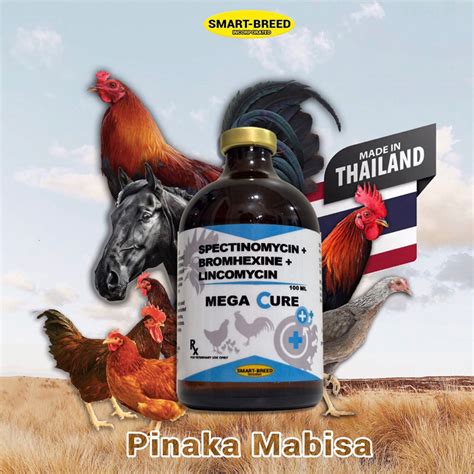 gamefowl medicine|Iba pa.